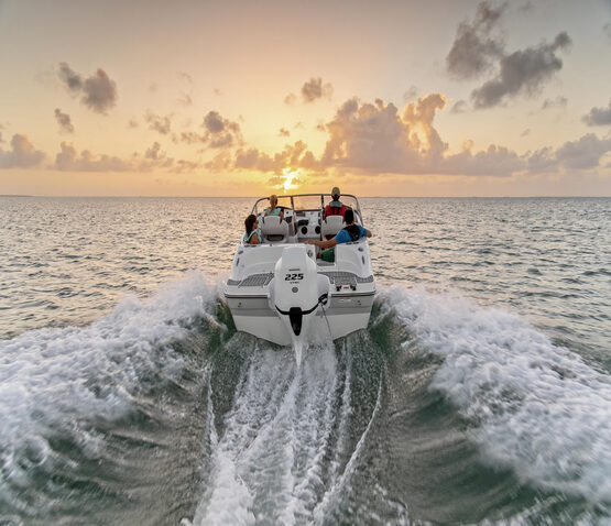 Motor termic HONDA BF225D | DBW | X-Type | Remote Control | Electric | Grand Prix White